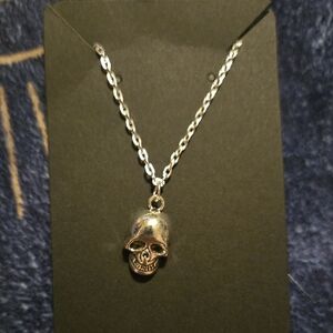 Silver Skull Pendant Necklace